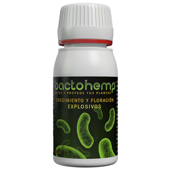 bactohemp agrobacterias