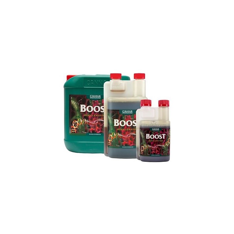 boost-accelerator-productos