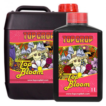 top-bloom-producto