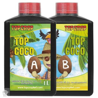 1top-coco-a_b-top-crop