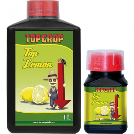 1top-lemon