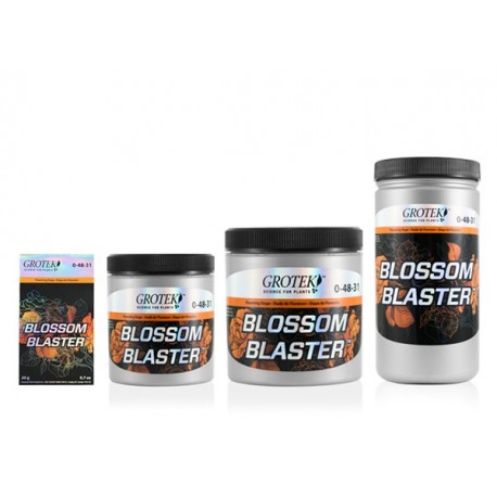 1blossom-blaster