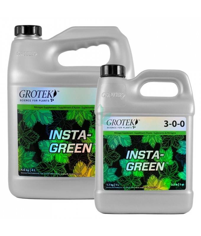 3insta-green