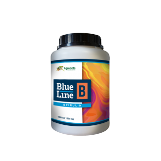 Blue Line B