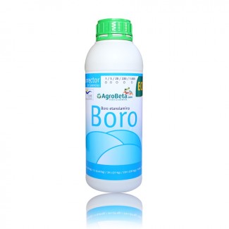 Boro Eco