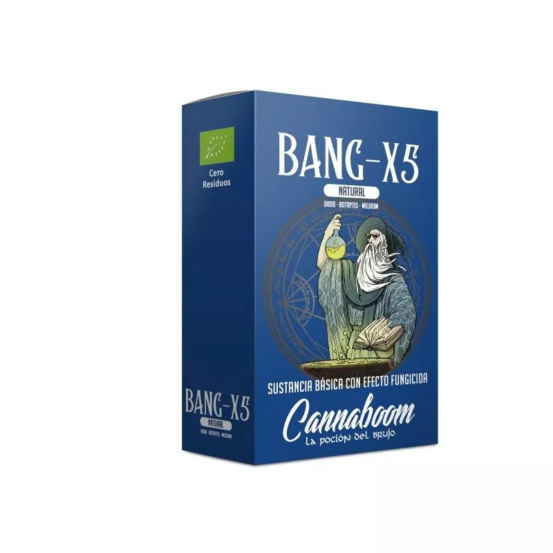 bang-x5